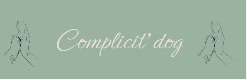 Logo Complicit' dog : comportementaliste canin