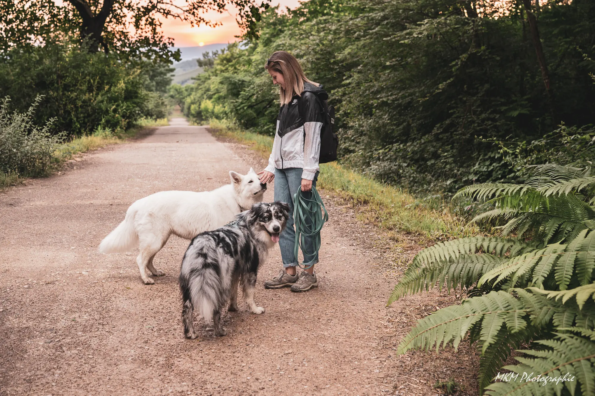 Baloo, le Berger Australien et son copain avec complicit' dog