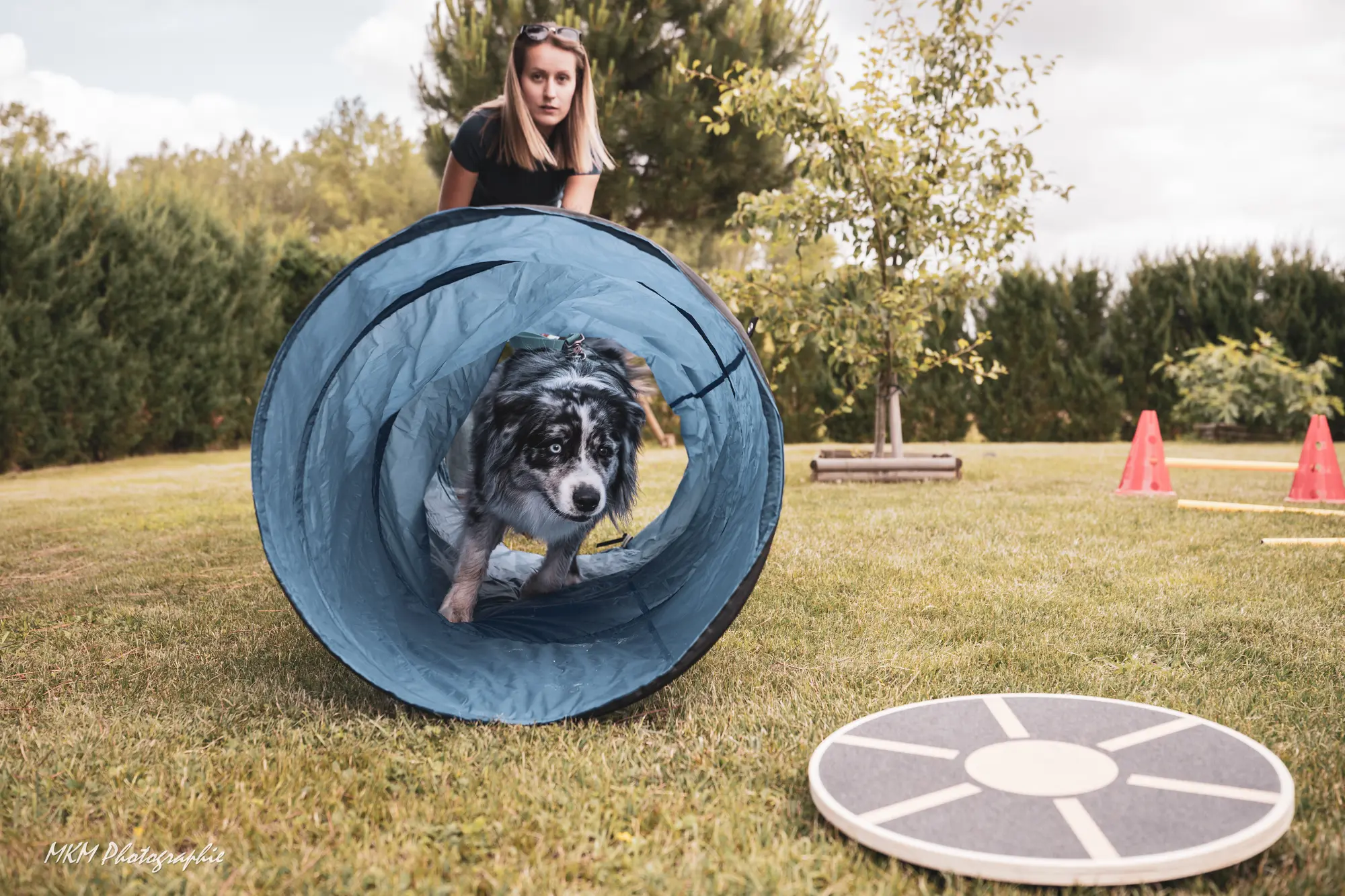 Baloo en Agility fun à Saint-Germain-Du-Plain